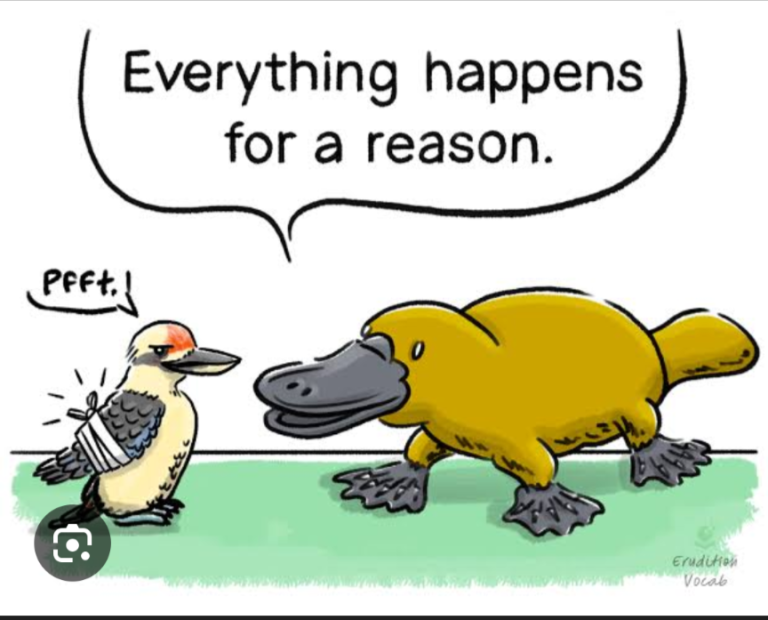 platitude people
