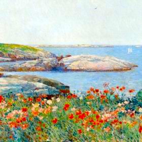 Poppies, Sails ’n Dreams (imagining)