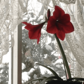 Only In My Dreams (kismet)