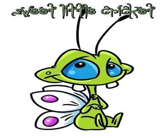 Sweet Little Cricket