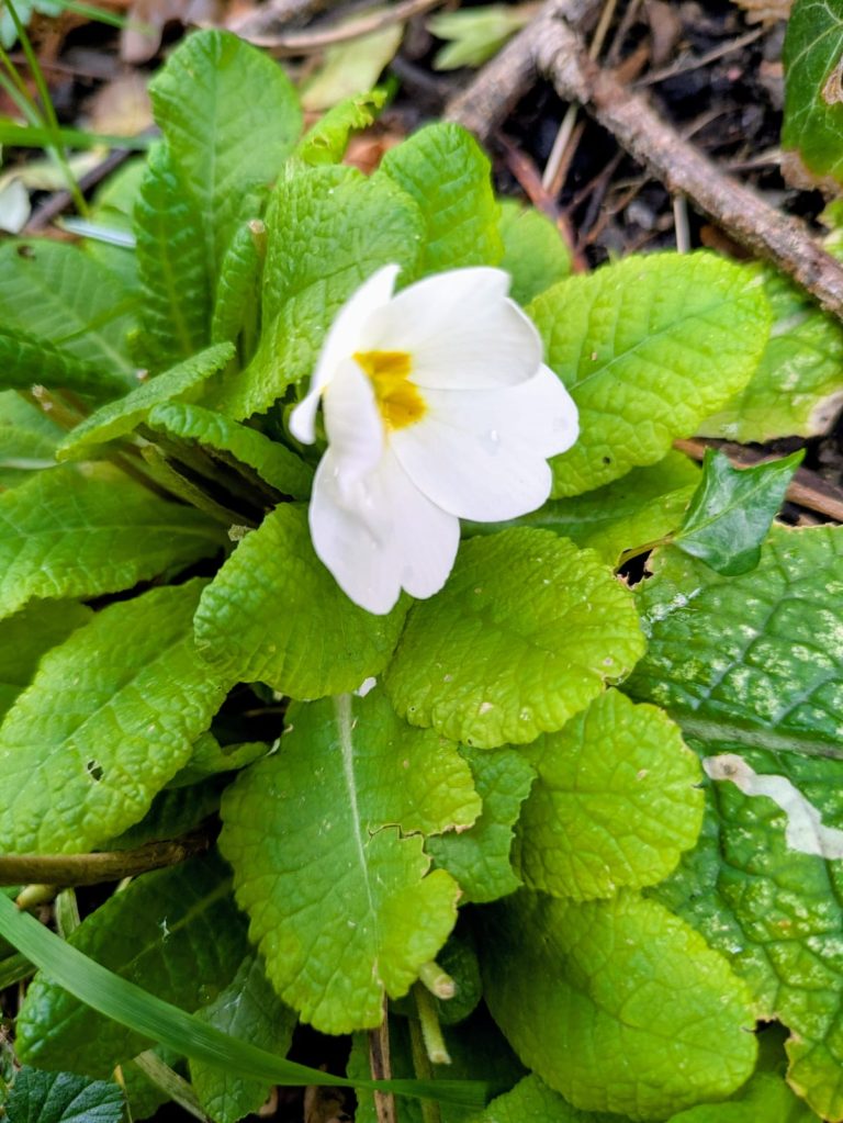 Cryptically Speaking (1)