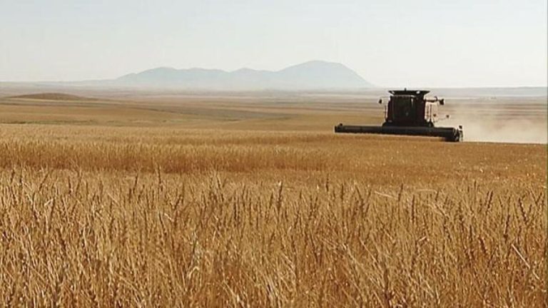 Heartland