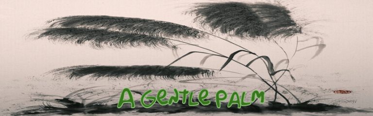 A Gentle Palm