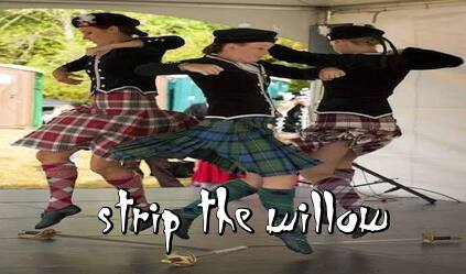 Strip the Willow