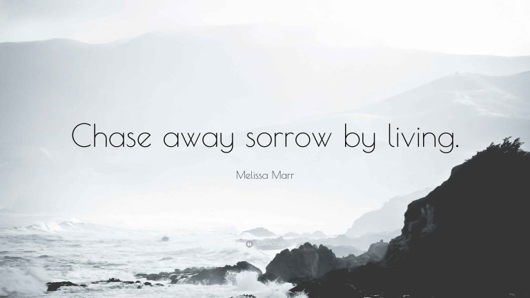 I have started this blog!
