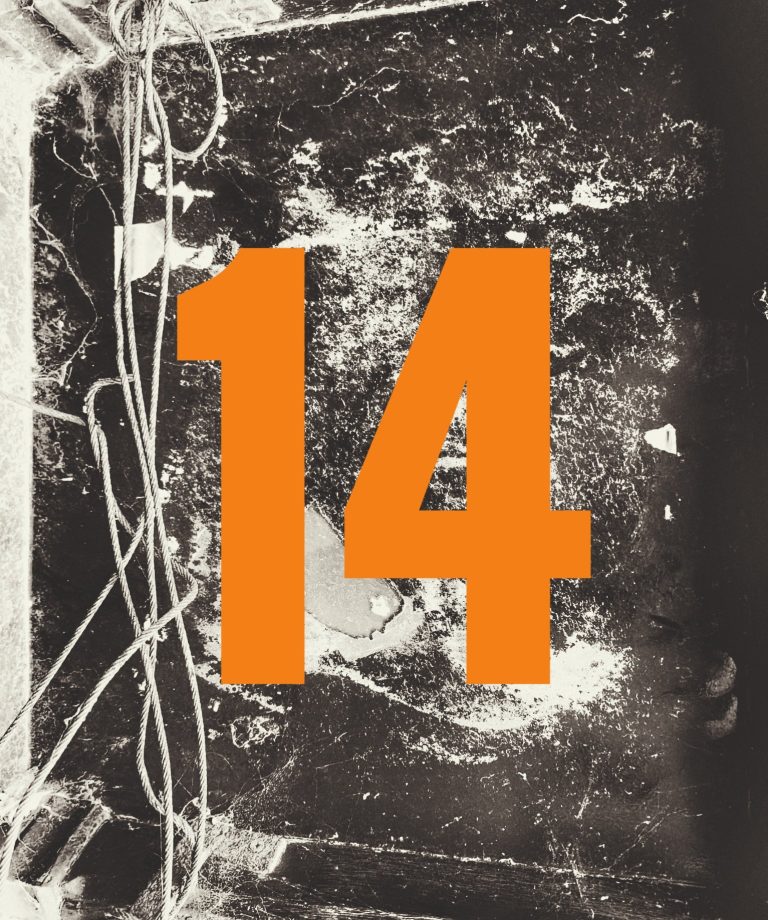 The Surveillance of Pines UT14