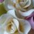 Profile picture of Itsme_Mayumi