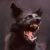 Profile picture of tumbleweed